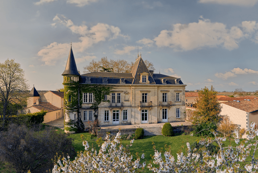 Dalla vigna al calice: un'esperienza immersiva allo Château Lamothe-Cissac
