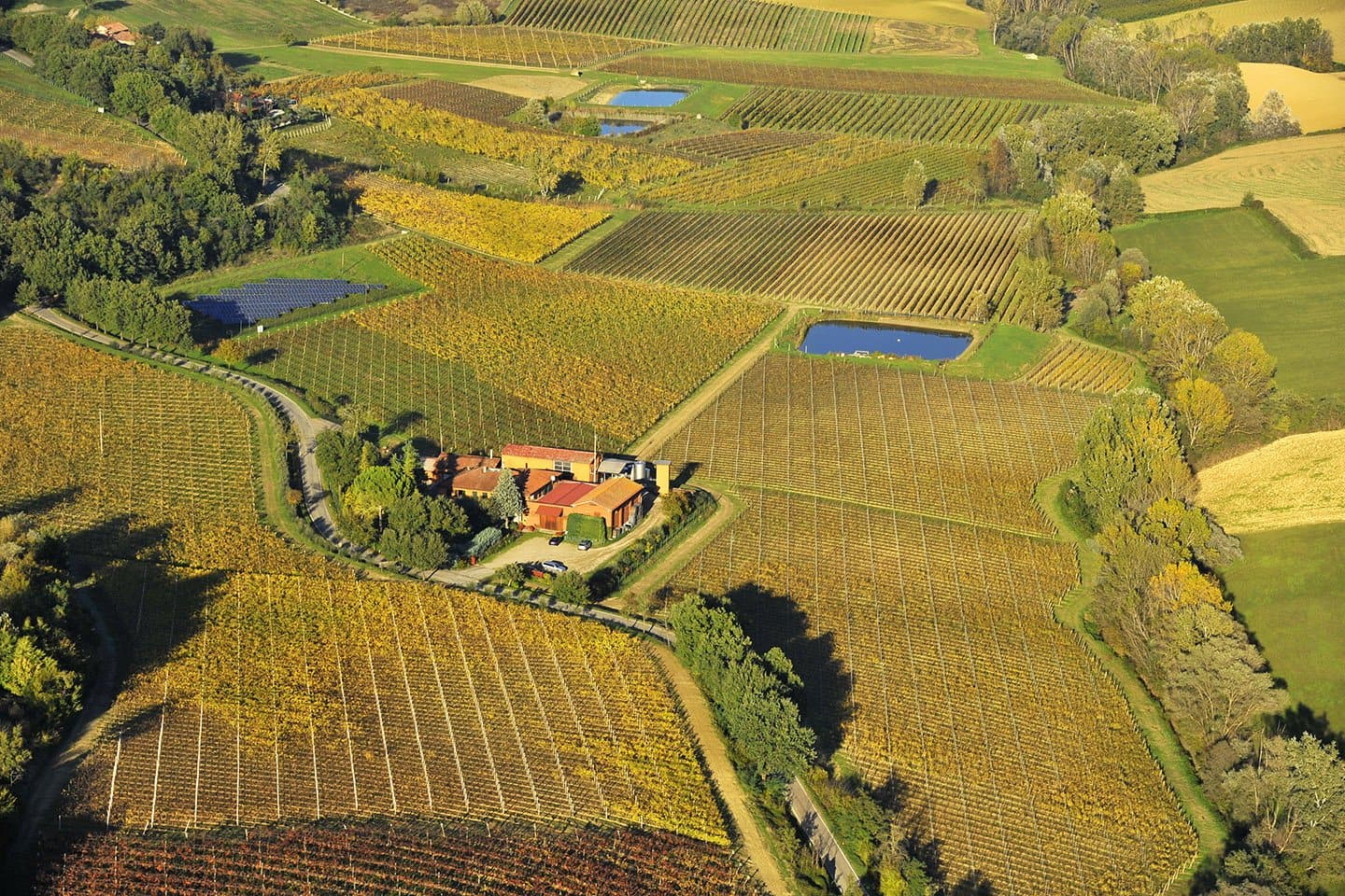 Tre Monti winery tour and signature wine tasting in Romagna
