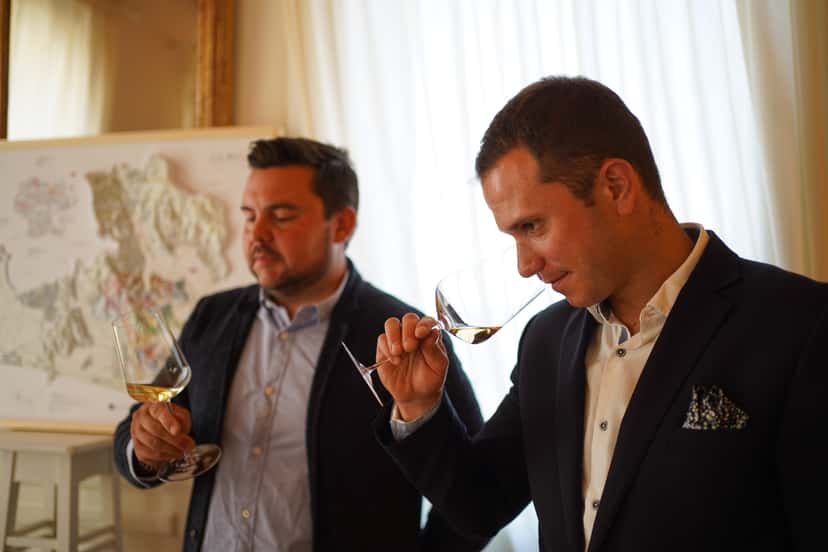 Authentic Experience - Tour Guidato e Wine Tasting tra Soave e Valpolicella