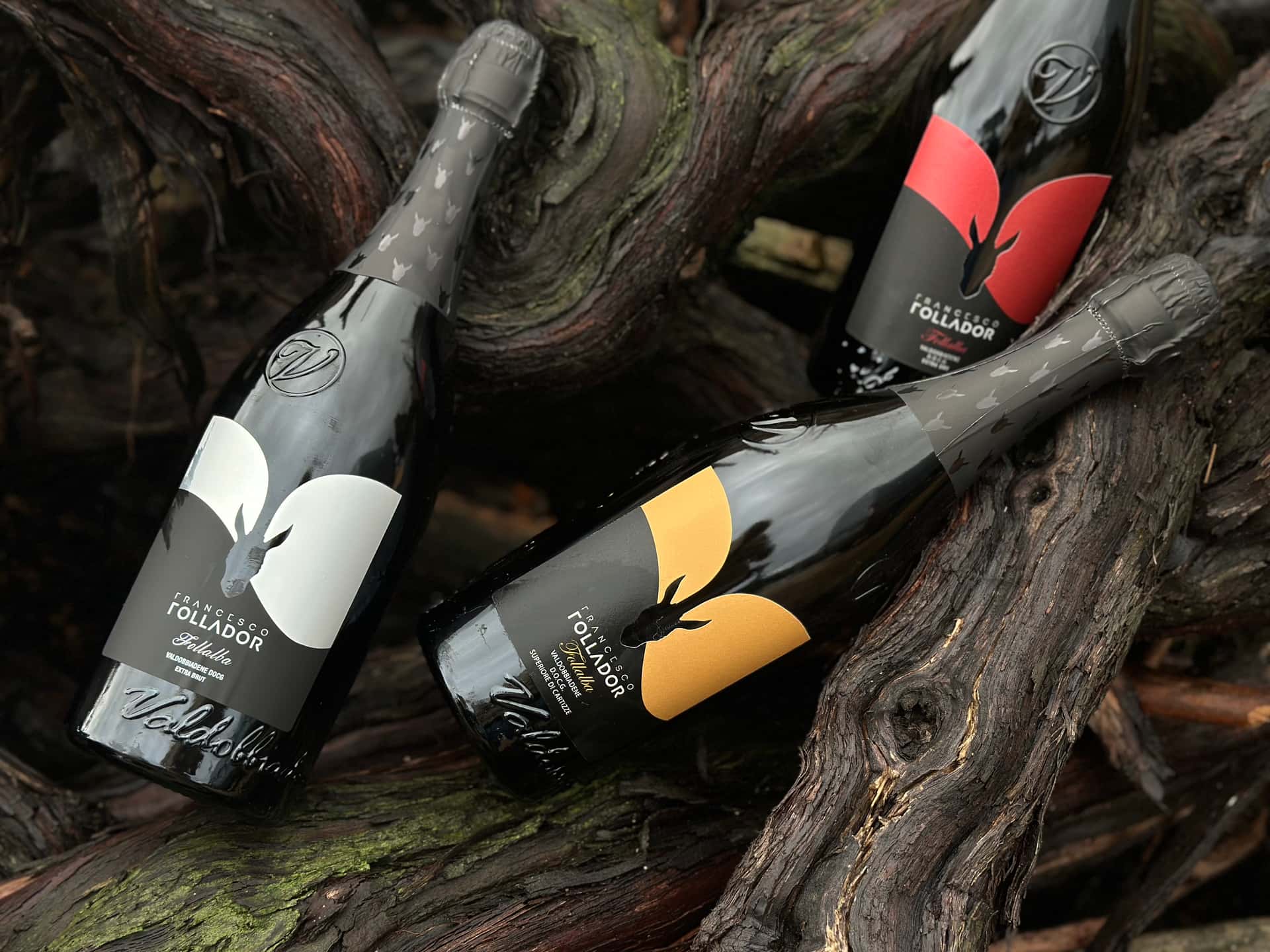 Veneto Vineyard Tour & Wine Tasting at Follador