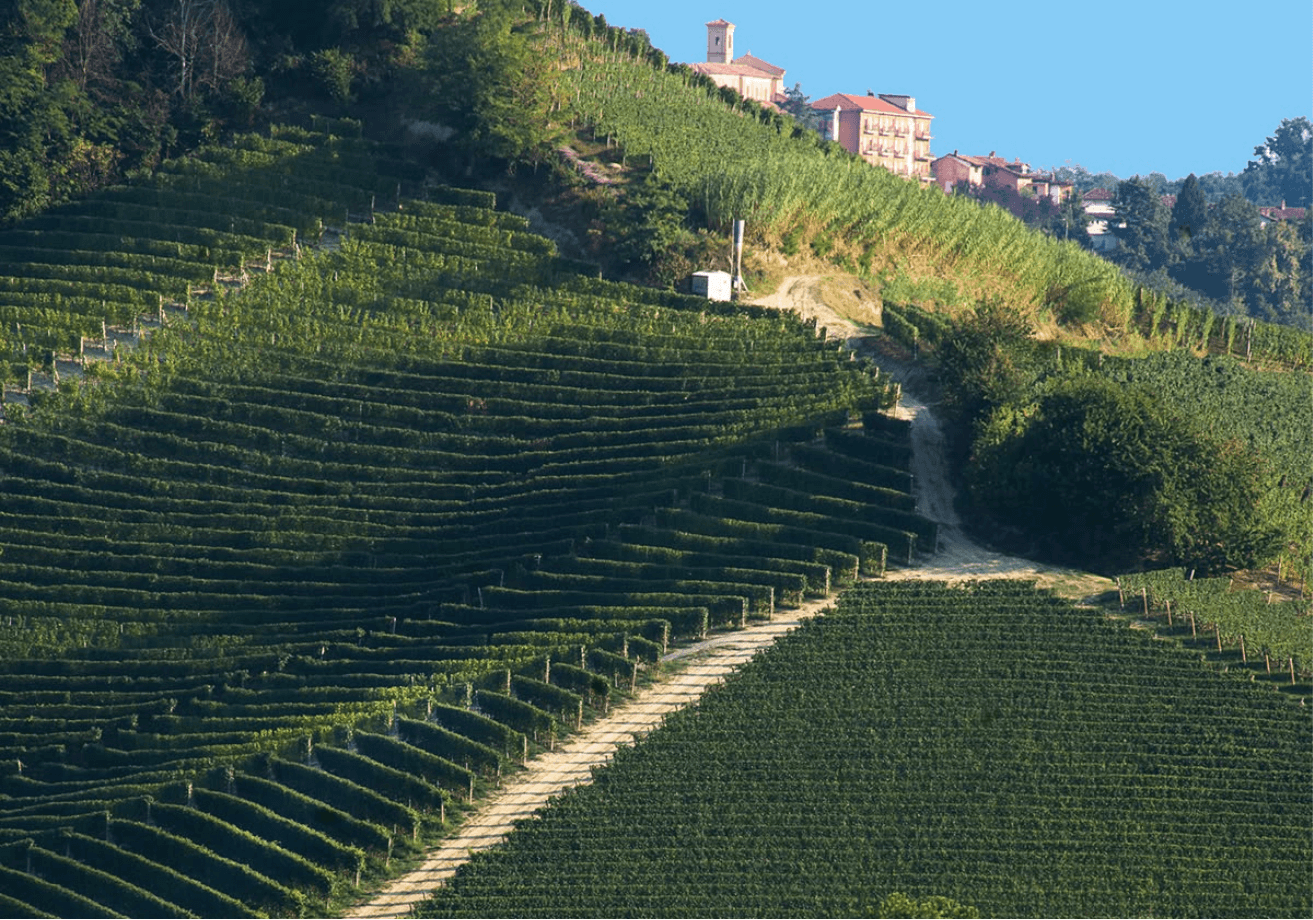 Beyond the Famous Names: The Underrated Neighbour of Every Great Wine Region