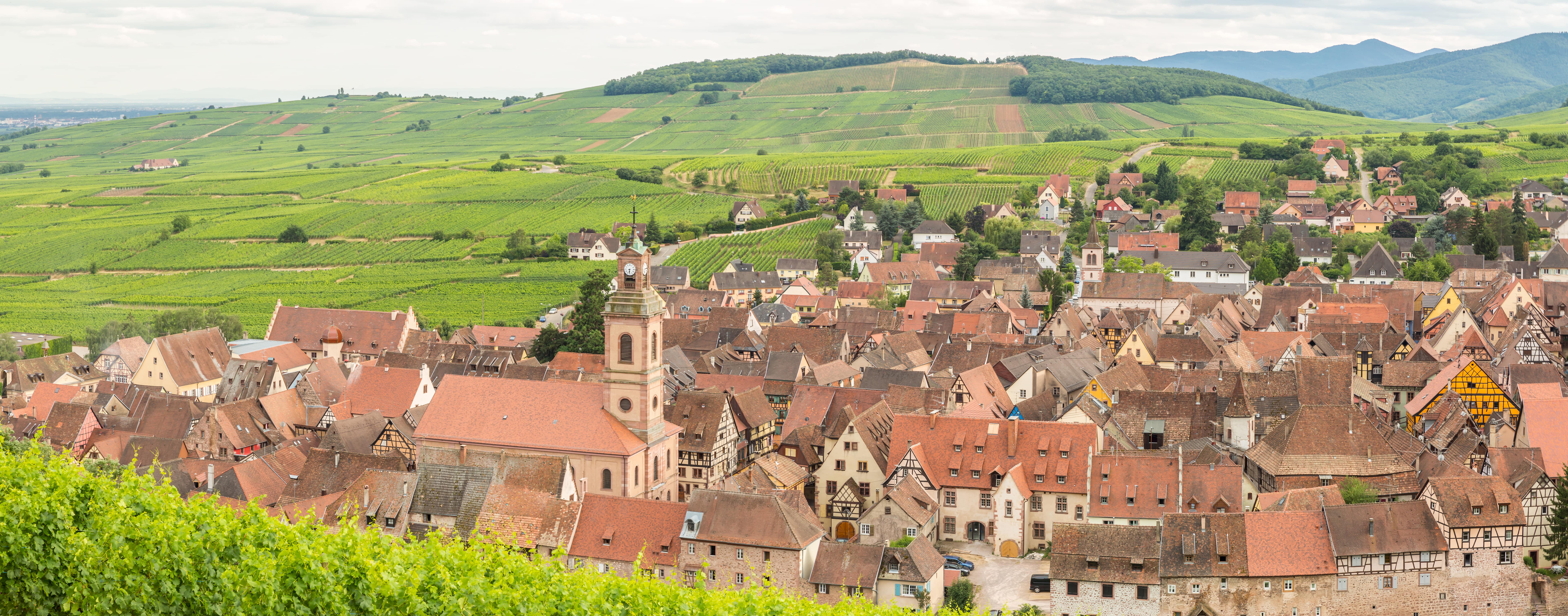 Riquewihr no cora&ccedil;&atilde;o dos vinhedos da Als&aacute;cia, regi&atilde;o vin&iacute;cola da Als&aacute;cia, Fran&ccedil;a