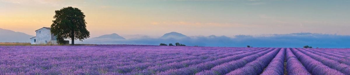 Provenza