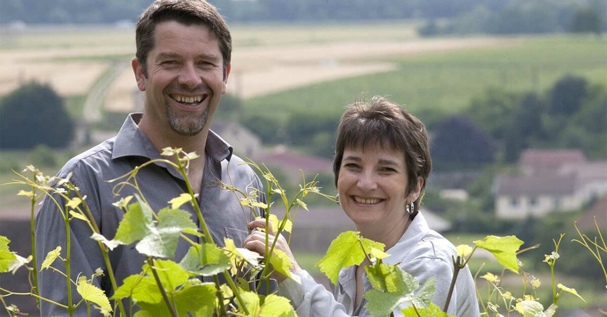 Domaine R.Dubois et Fils - Winery in Burgundy | Winetourism.com
