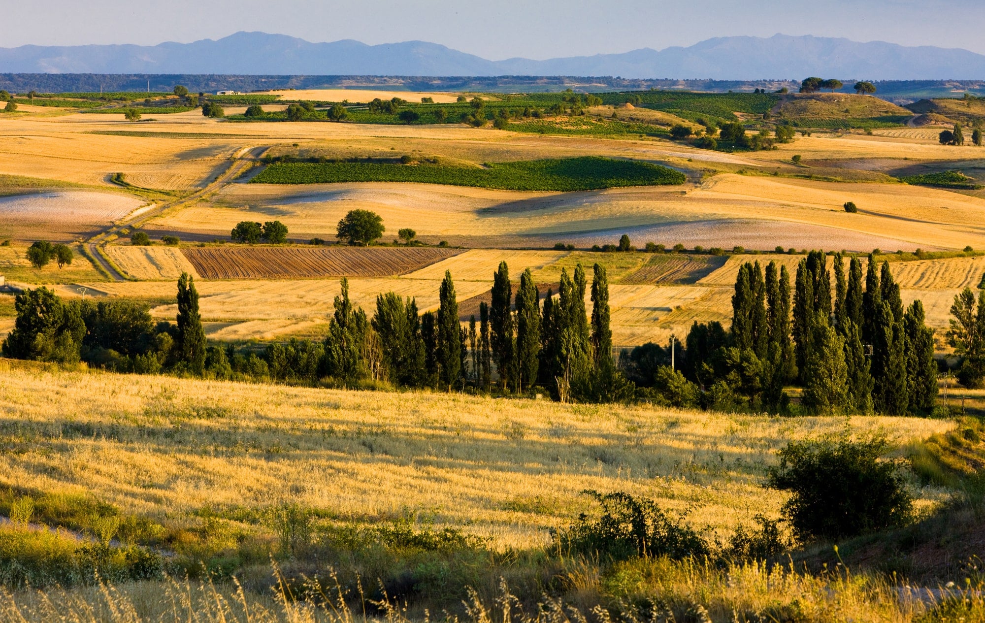 Countryside landscape of Castile and Leon, Spain