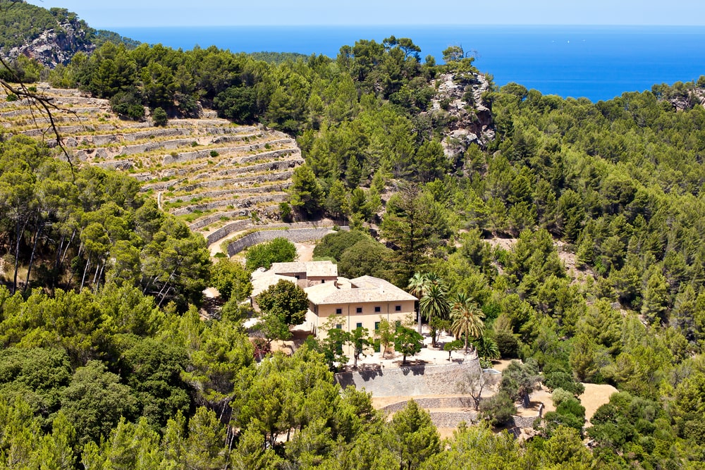Your 2022 Guide To Mallorca Wine Region Winetourism