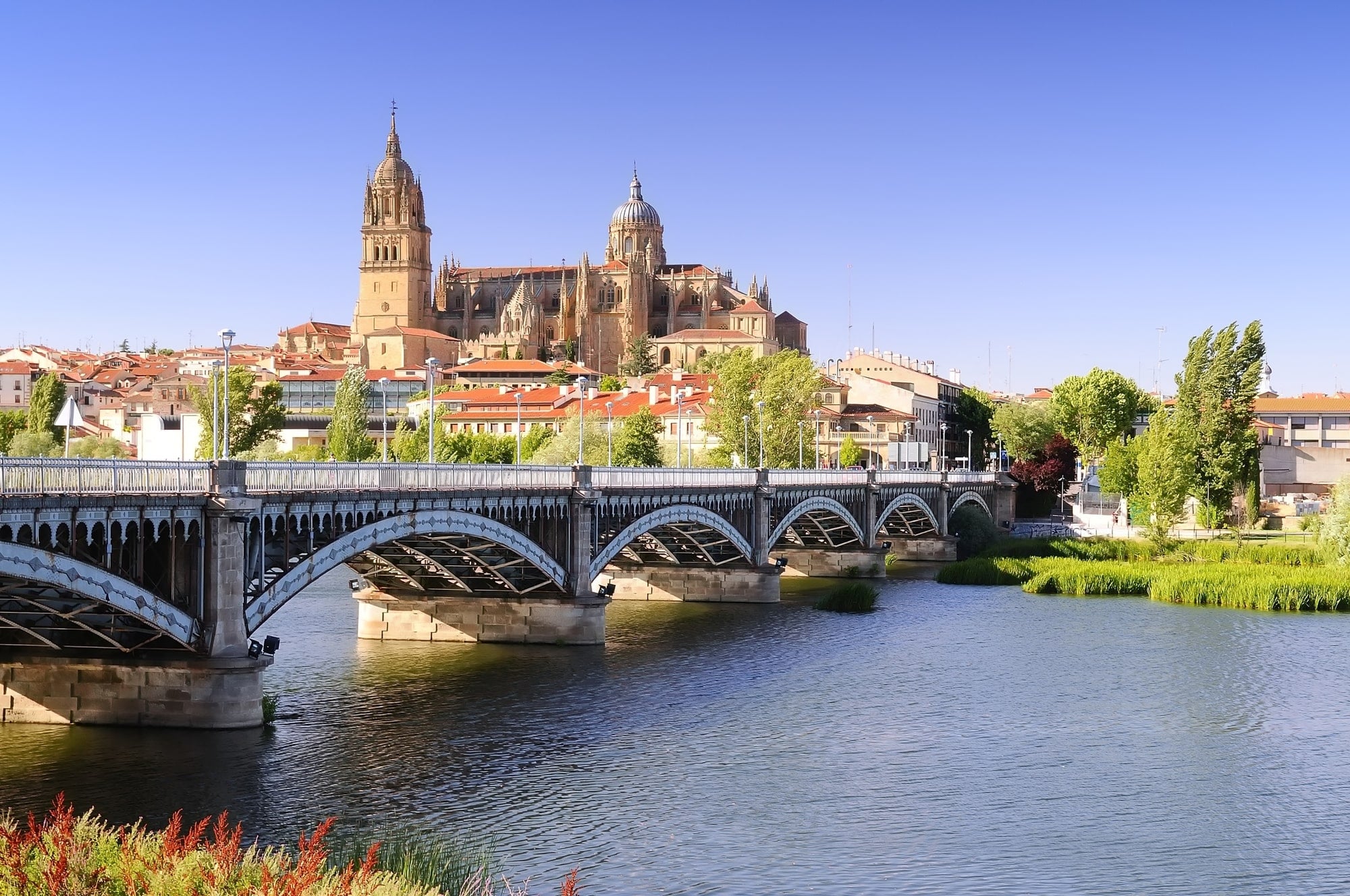 Cathedral of Salamanca, Spain