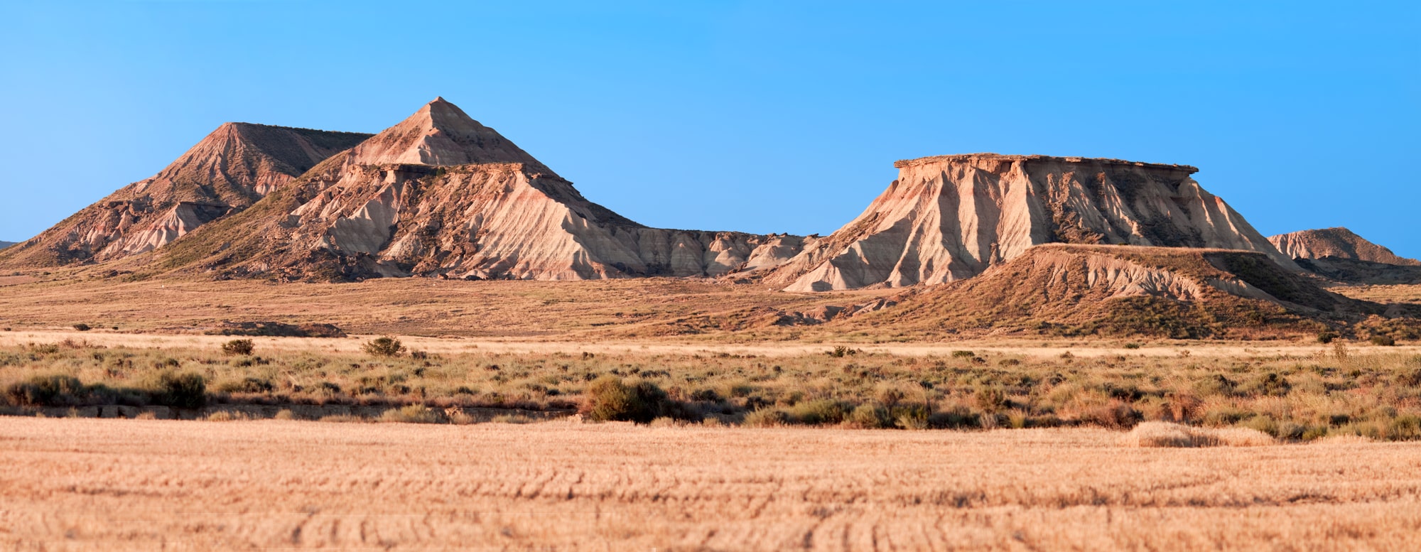 Bardenas Reales, région viticole de Navarre, Espagne