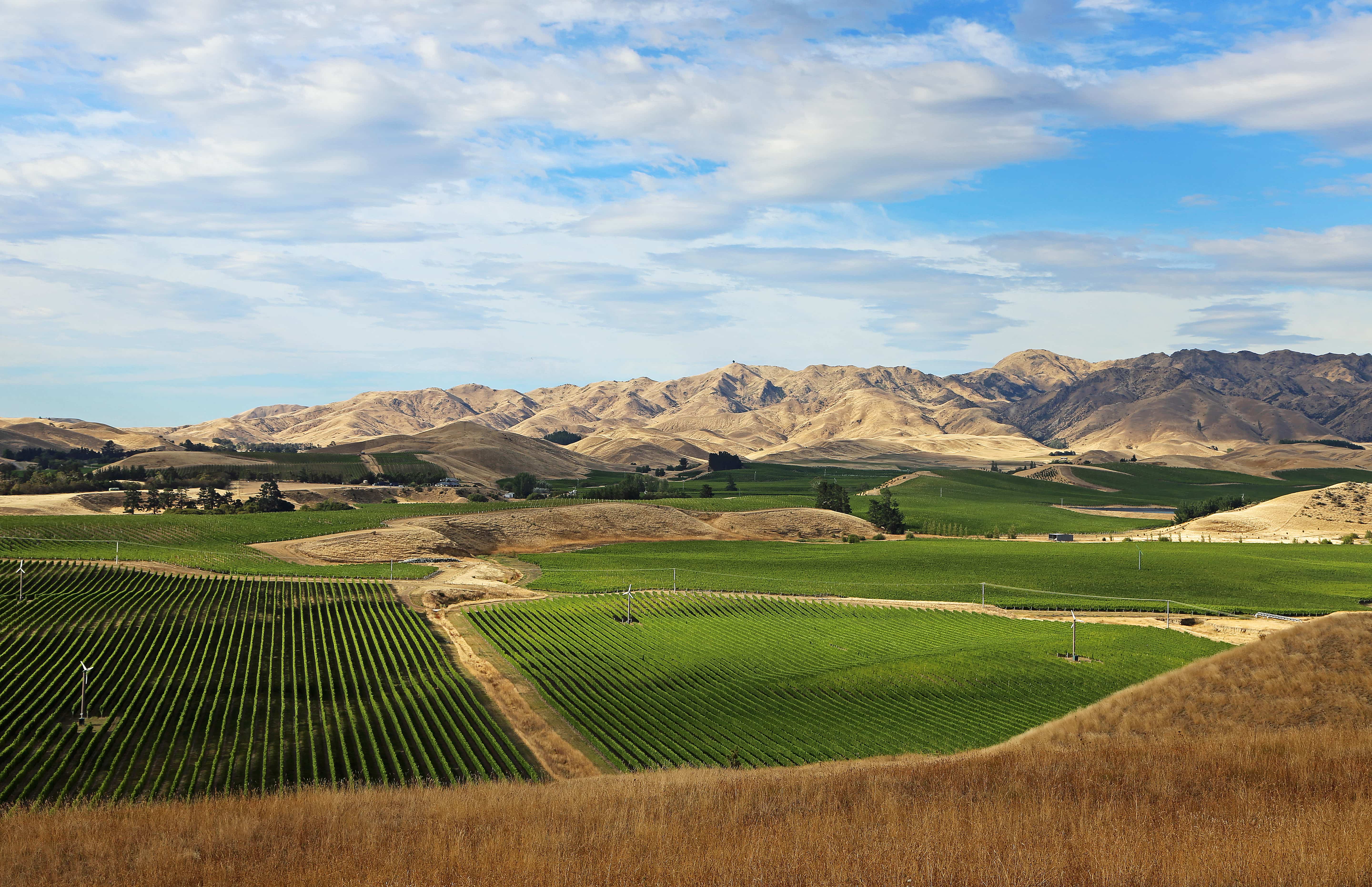 Marlborough