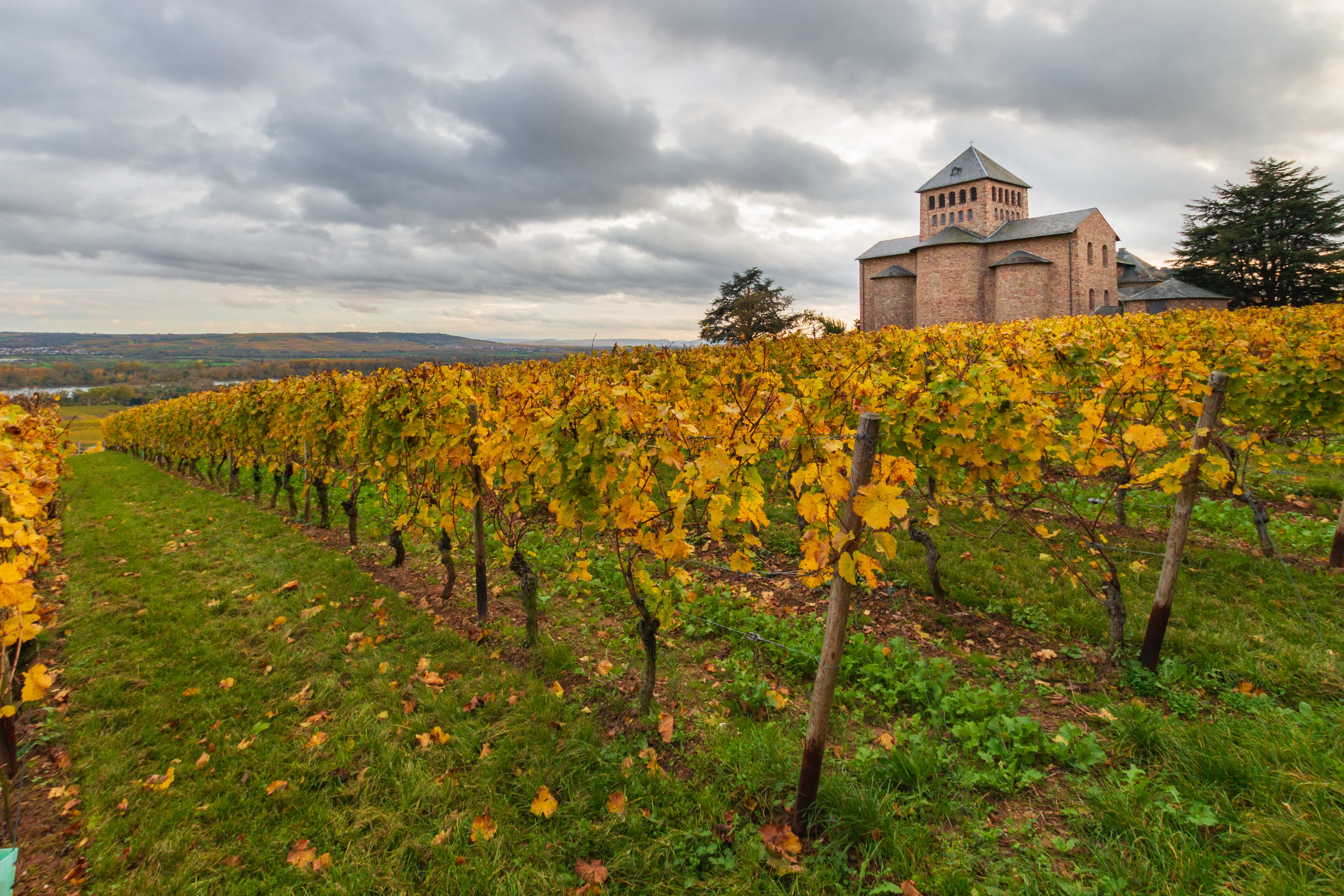 Rheingau