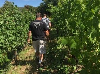 people-walking-through-optima-vineyard-336x250