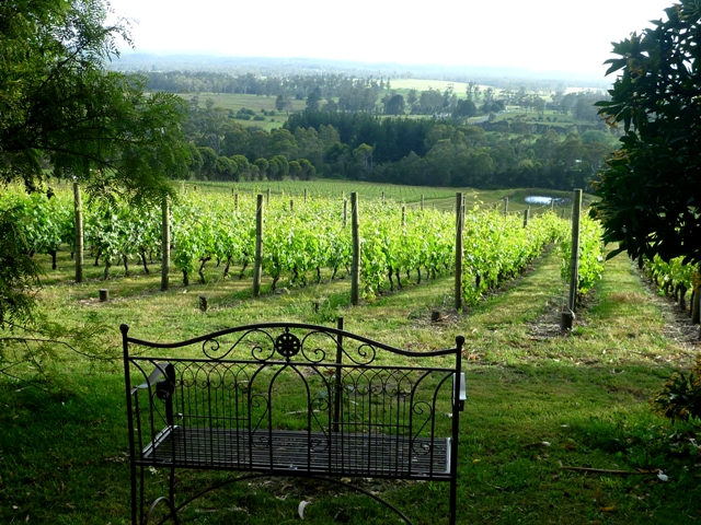 Grey-sands-vineyard-grapevines Ynumql
