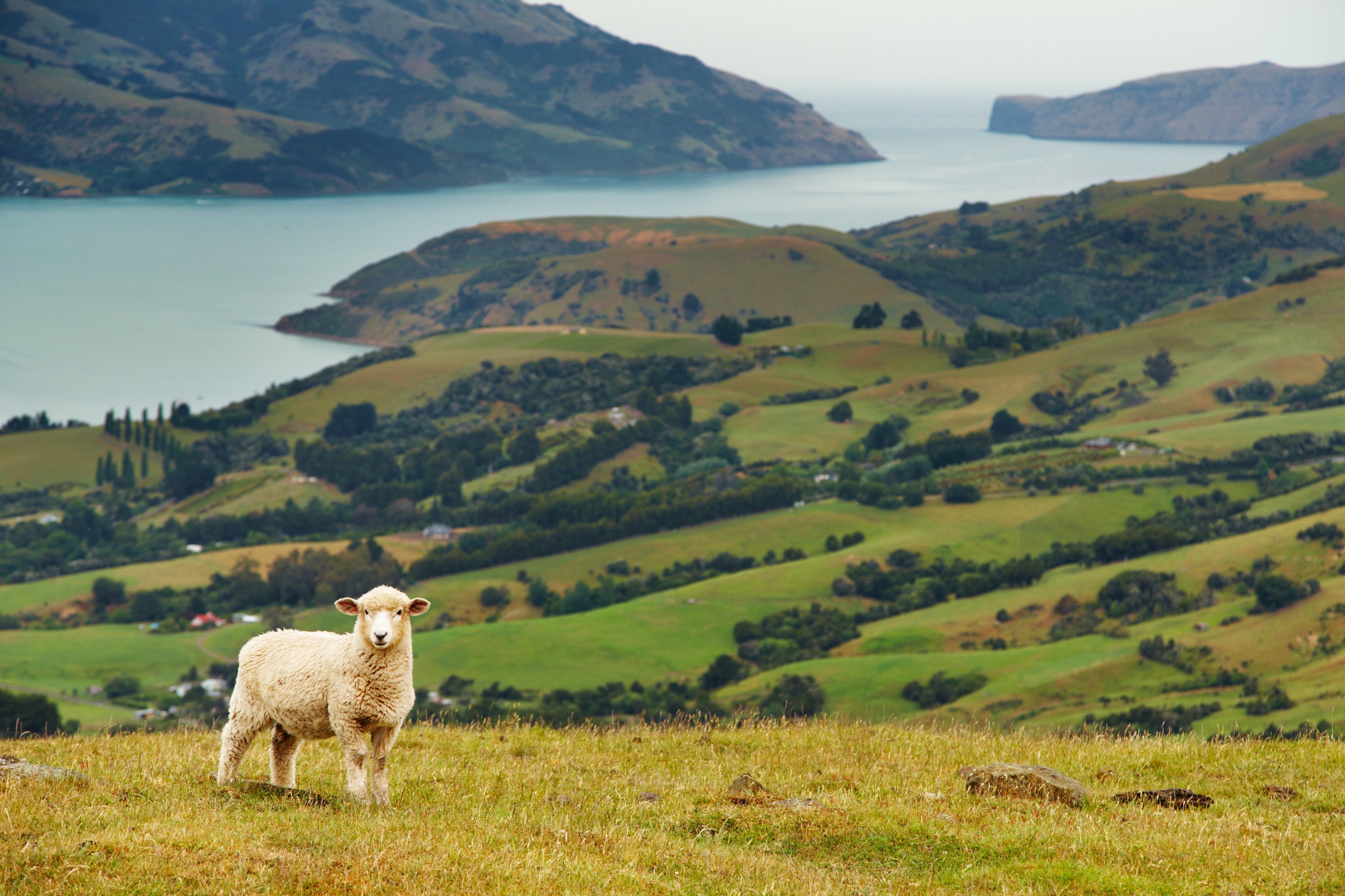 Neuseeland