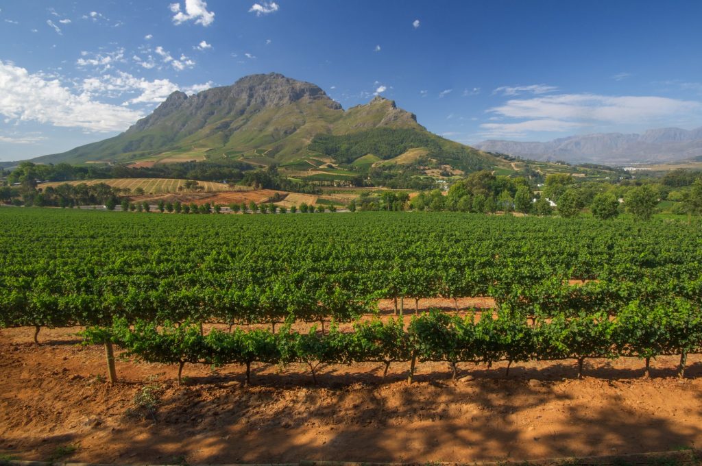 your-2023-guide-to-coastal-region-winetourism