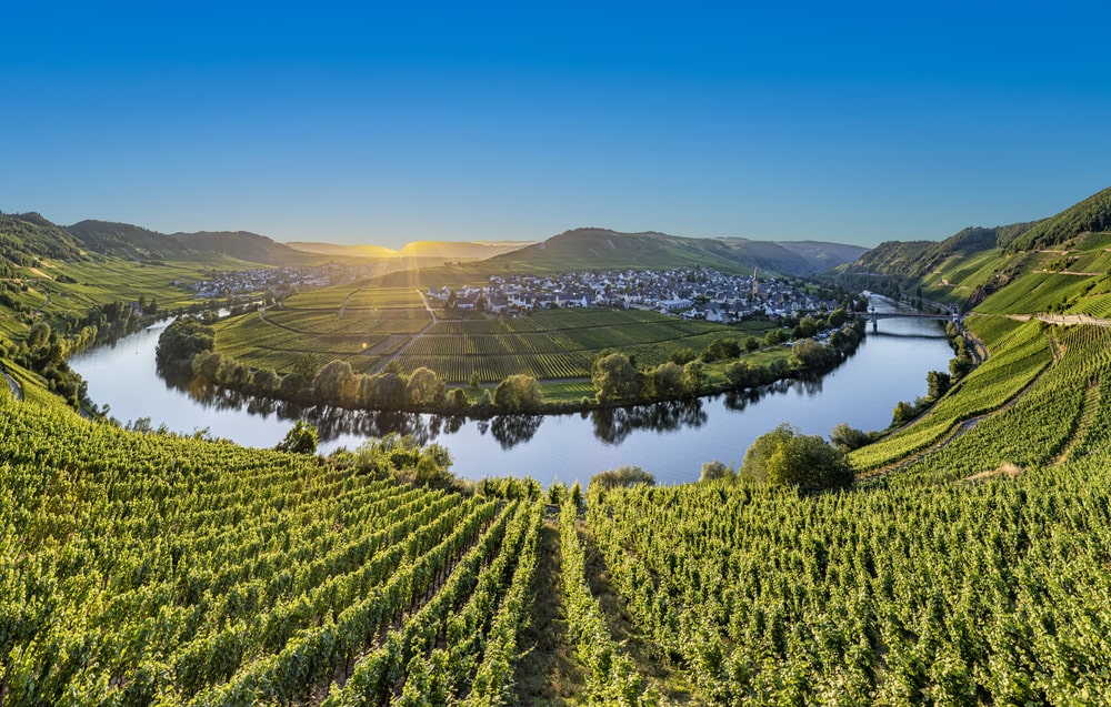 Mosel Wine Region Guide WineTourism