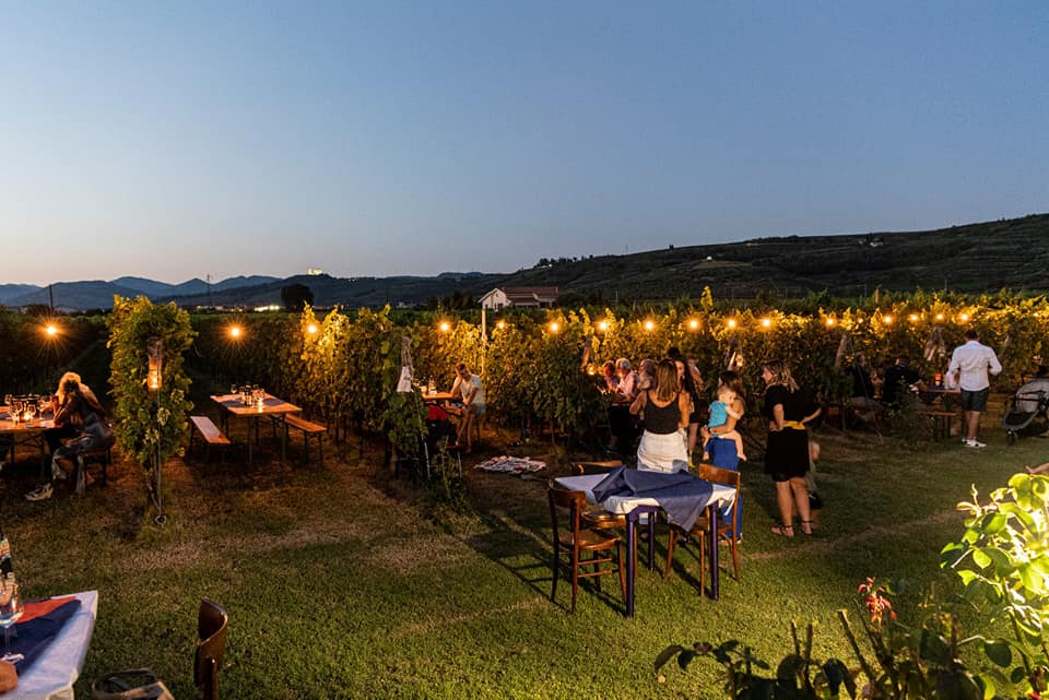 dégustation nocturne à l'azienda agricola vicentini agostino