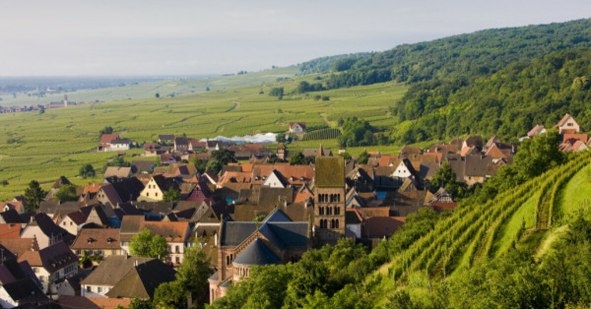 Bas-Rhin Wines & Terroir Guide 2026 | WineTourism.com