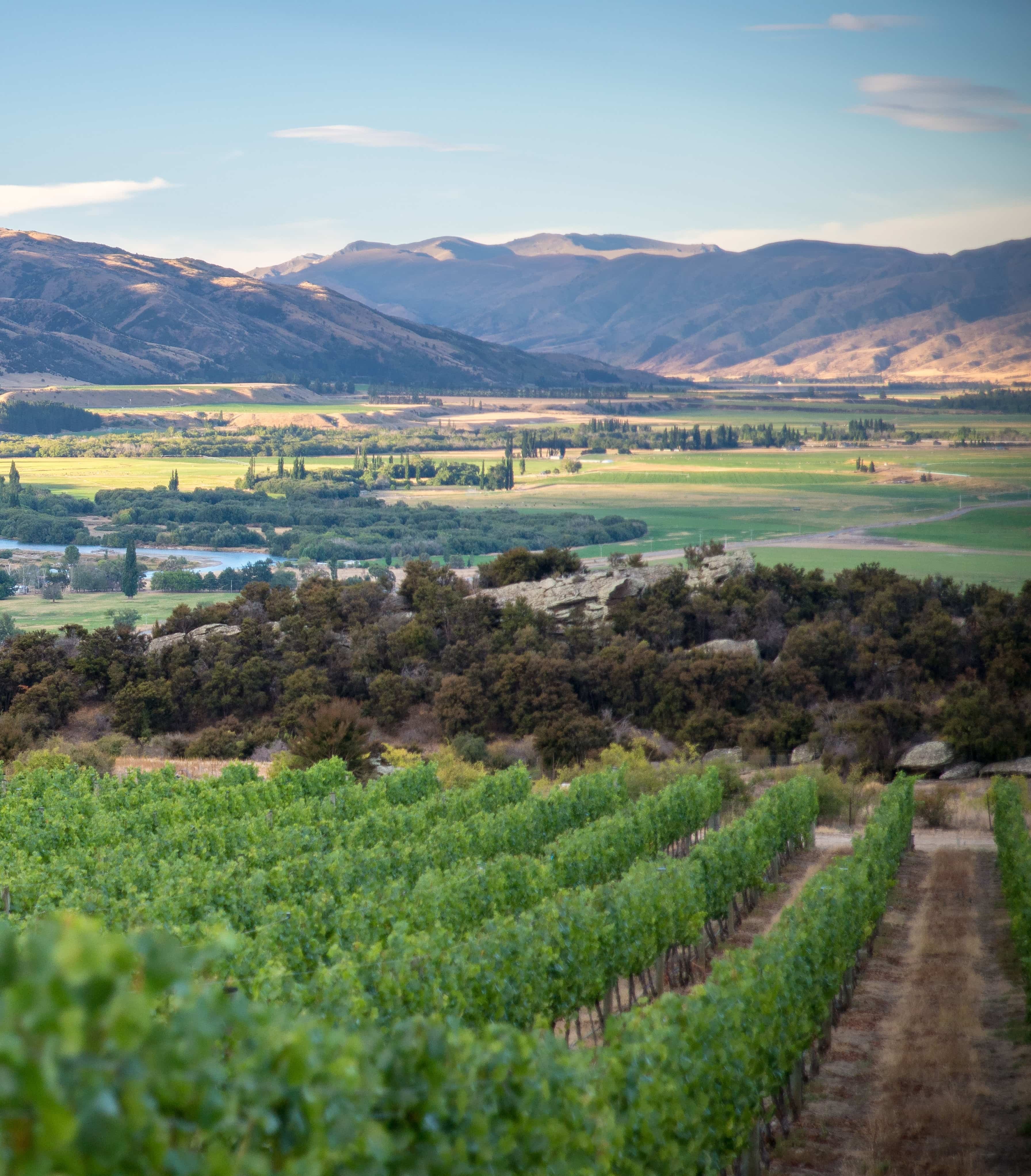 New Zealand Wine Regions - Wine Tastings & Tours | Winetourism.com
