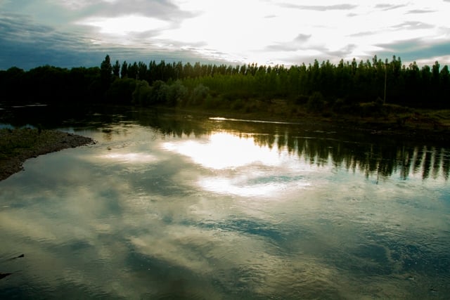 bodega-aniello-lake-and-trees_kxbs1s_jdhbr6