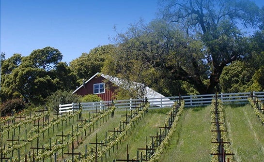 Le VIn Winery - property