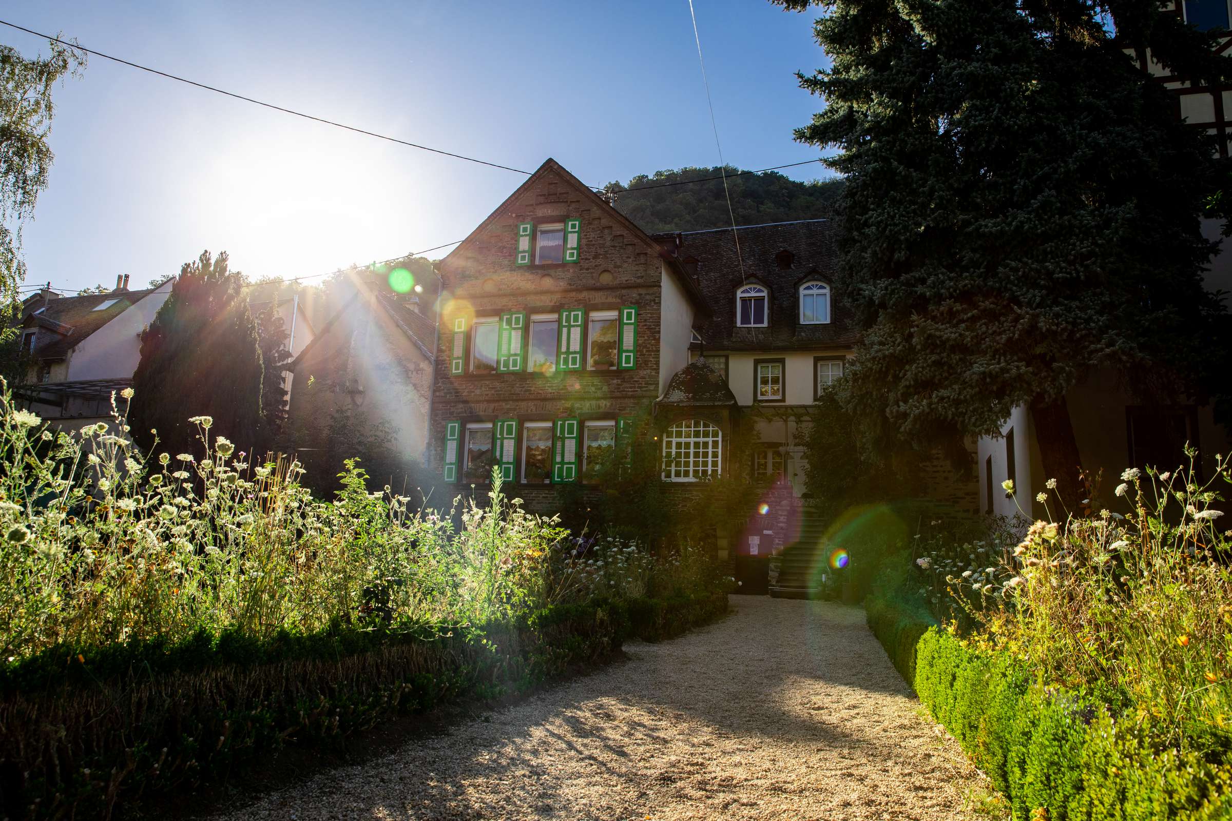 Wineries in Burg Cochem 2026: A Connoisseur's Travel Guide | WineTourism.com