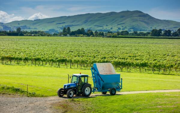 Matahiwi estate - Wairarapa wine region
