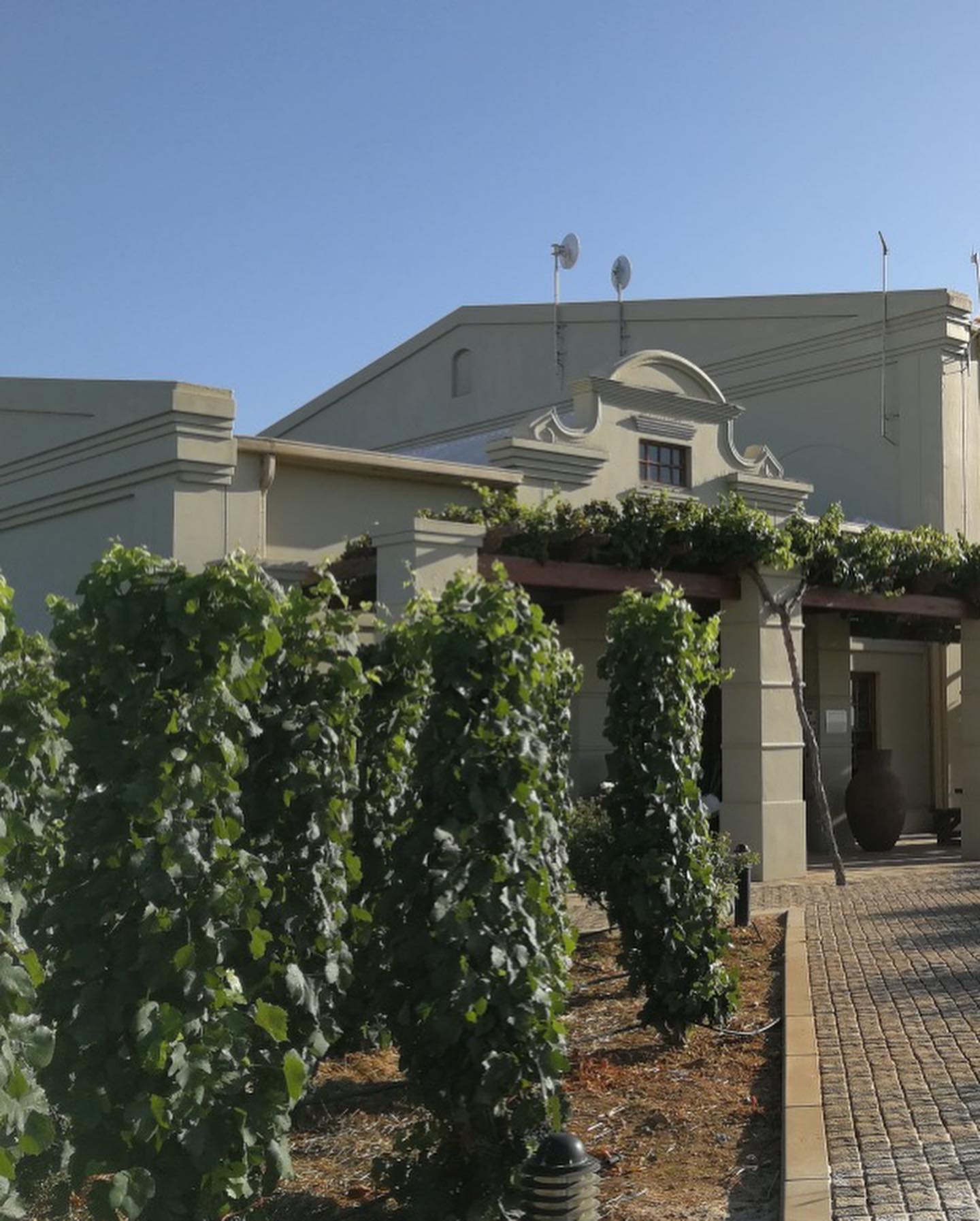 Org De Rac Estate - Red wine and Chocolate pairing at Org De Rac Estate ...