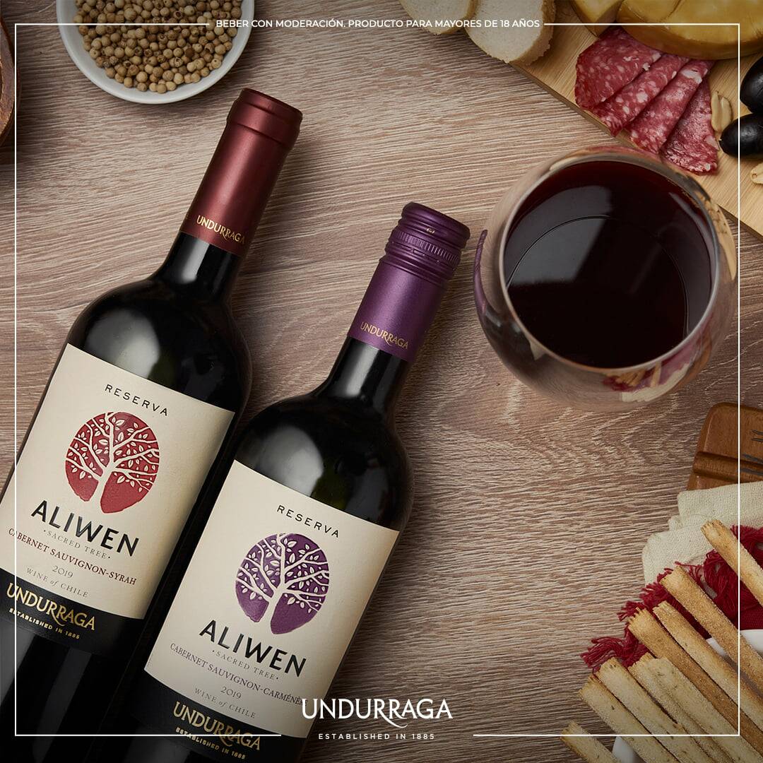 Viña Undurraga Premium Founders Tour and Wine Tasting