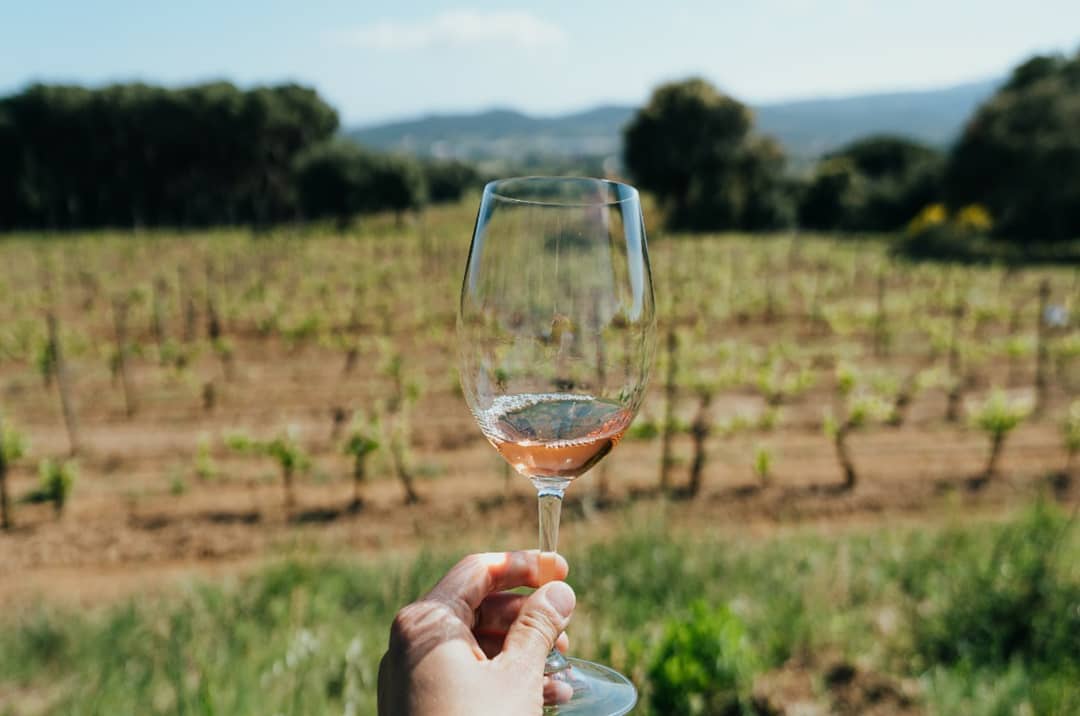Bodegas Clos D'Agon - a glass of wine