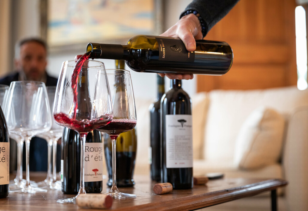 10 best wine tours & tastings in Provence 2023