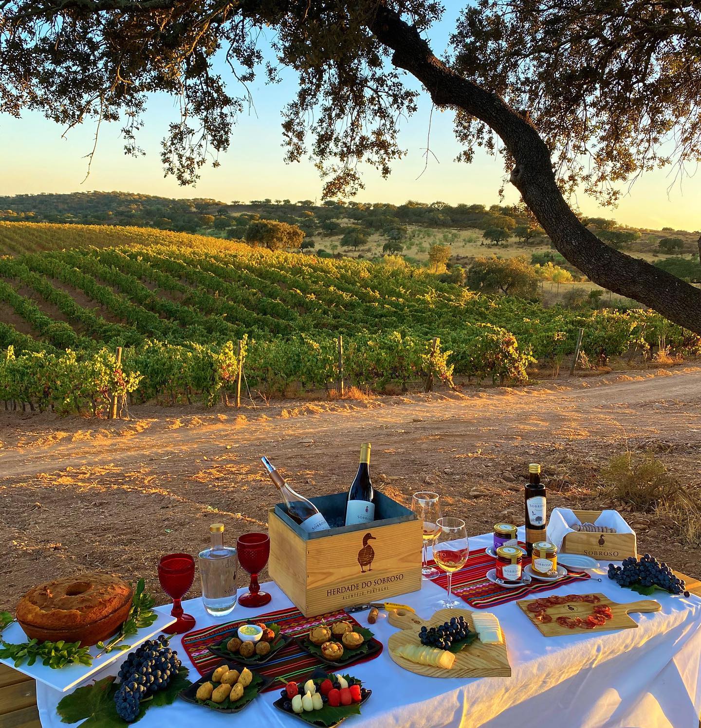 Cellar and Vineyard Tour and Tasting at Herdade Do Sobroso Wine ... - Luxury Rentals With Wine Tasting Experience