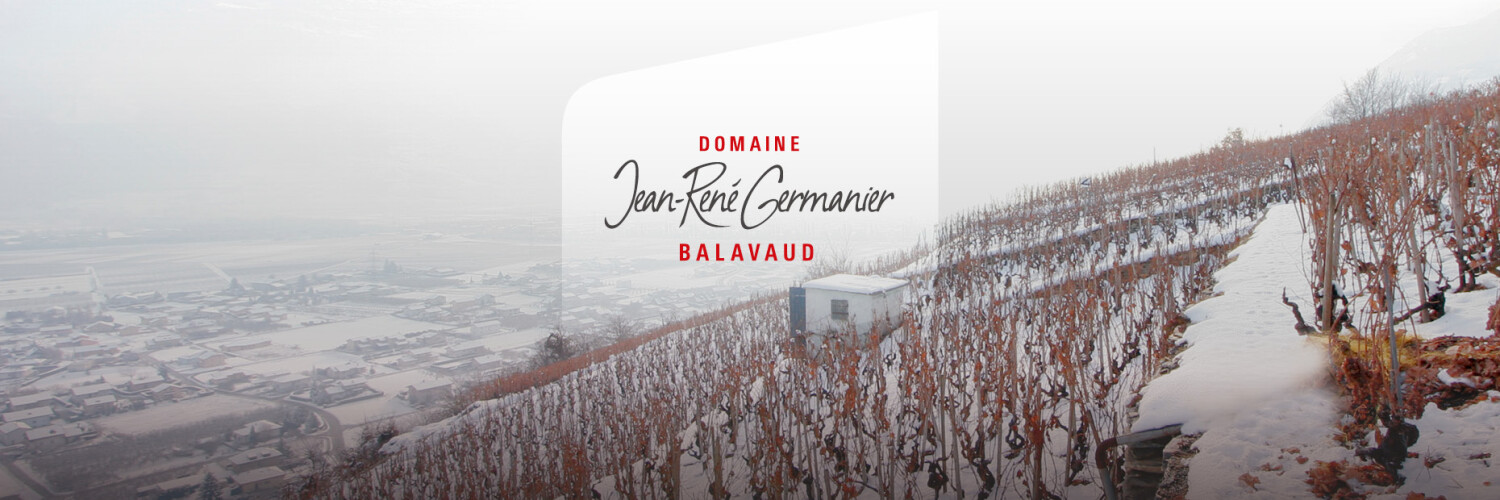 Domaine Jean-René Germanier - Fondue Glareyarde & Wine Tasting Tour at ...