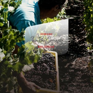 Domaine Jean-René Germanier - Fondue Glareyarde & Wine Tasting Tour at ...