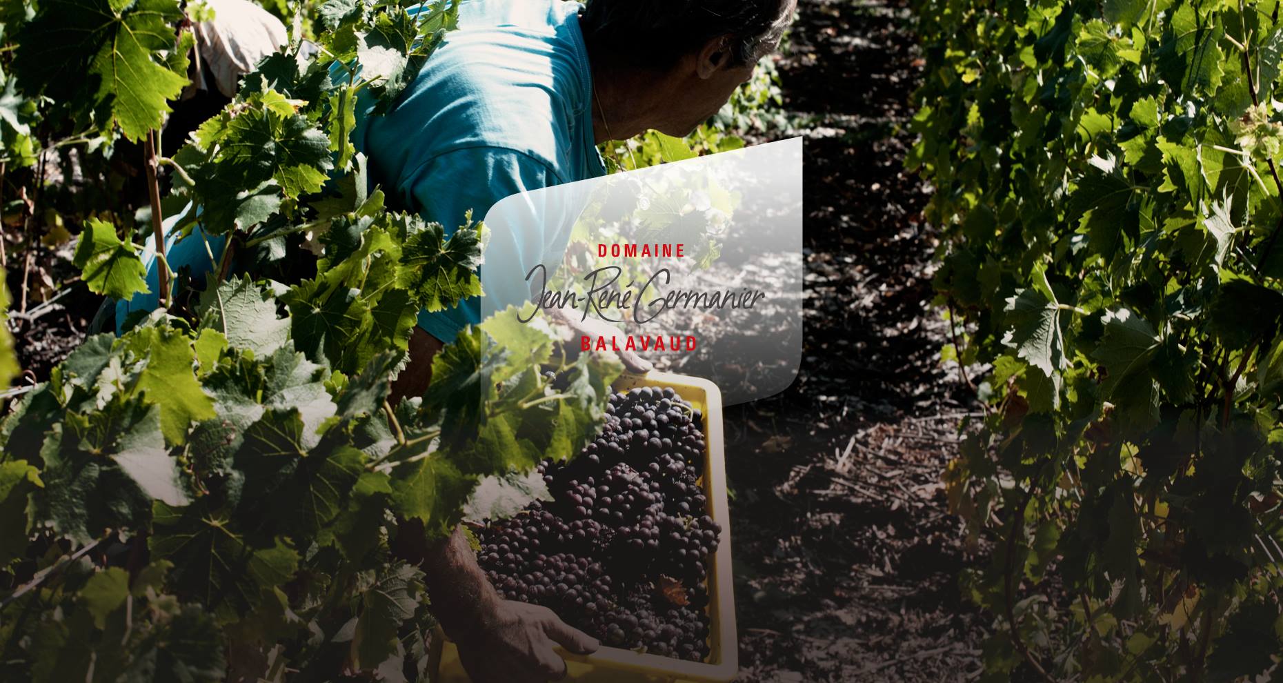 Raclette Unlimited & Wine Tasting Tour at Jean-René Germanier in Valais ...