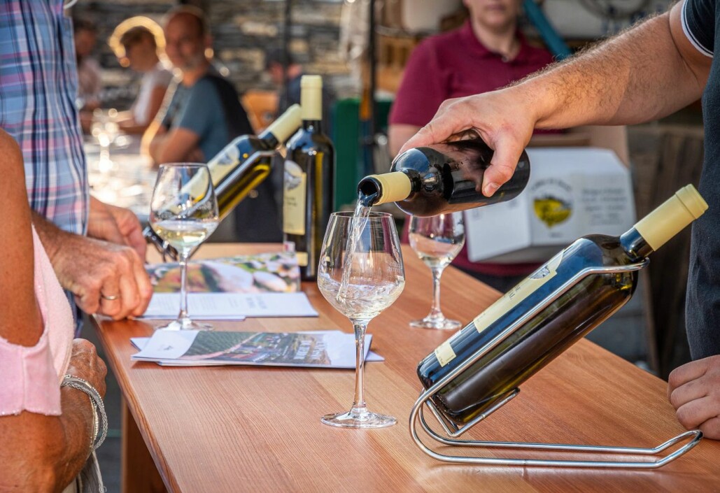 Domaine Jean-René Germanier - Fondue Glareyarde & Wine Tasting Tour at ...