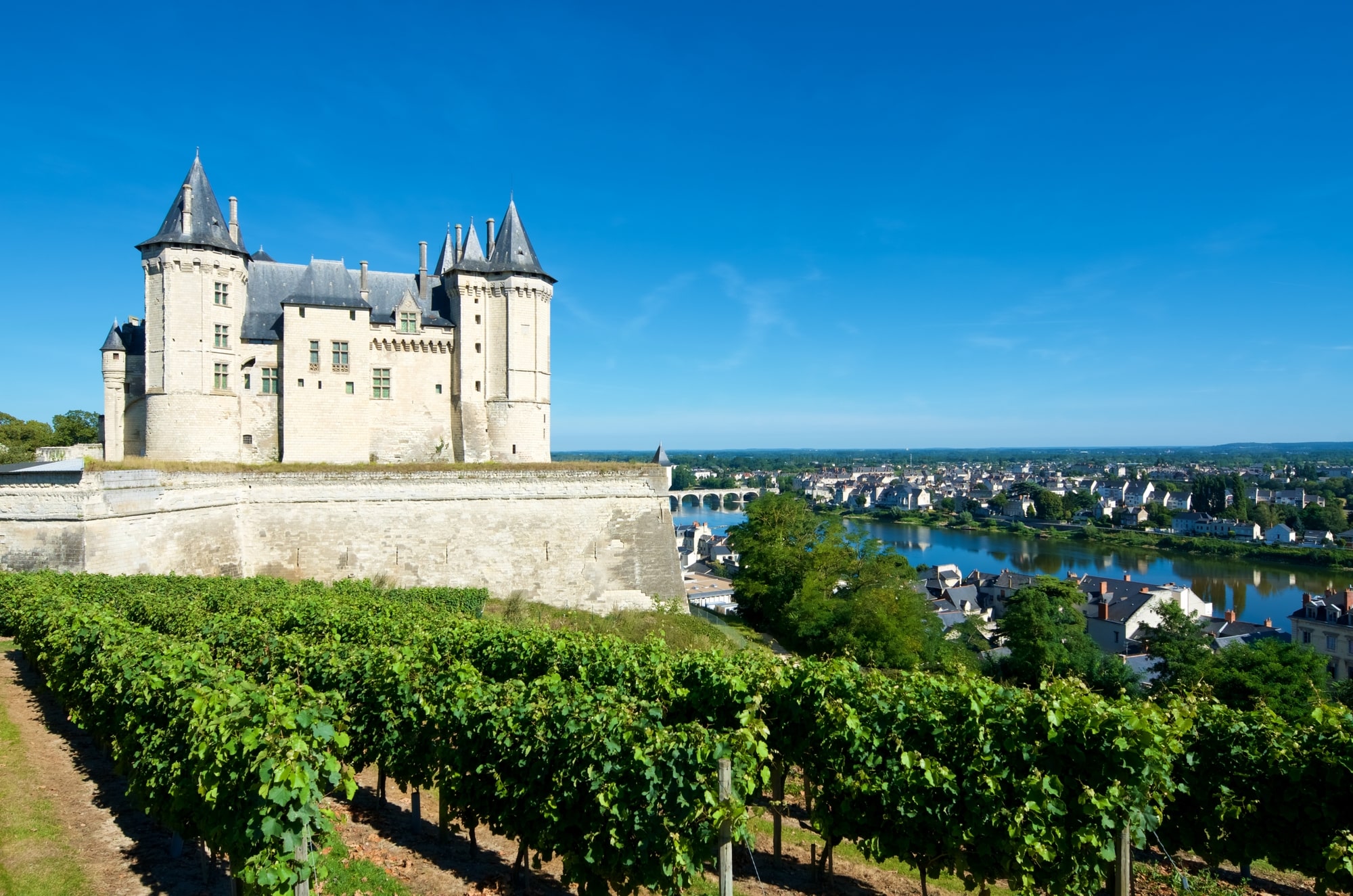 Loire Valley Wine Region Guide WineTourism