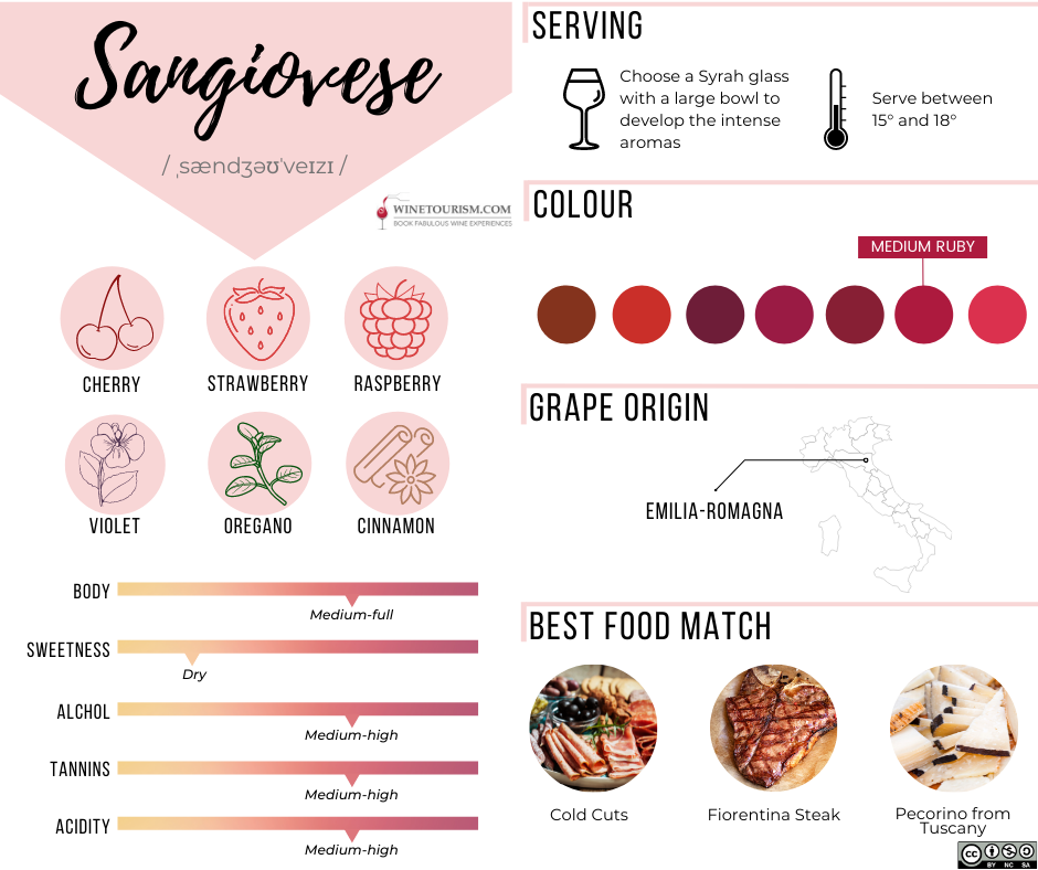 Interesting Facts About Sangiovese WineTourism Interesting Facts About Sangiovese WineTourism