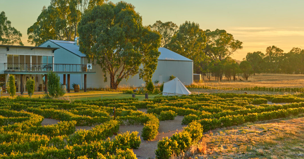 Ubertas Wines - Winery in South Australia | Winetourism.com