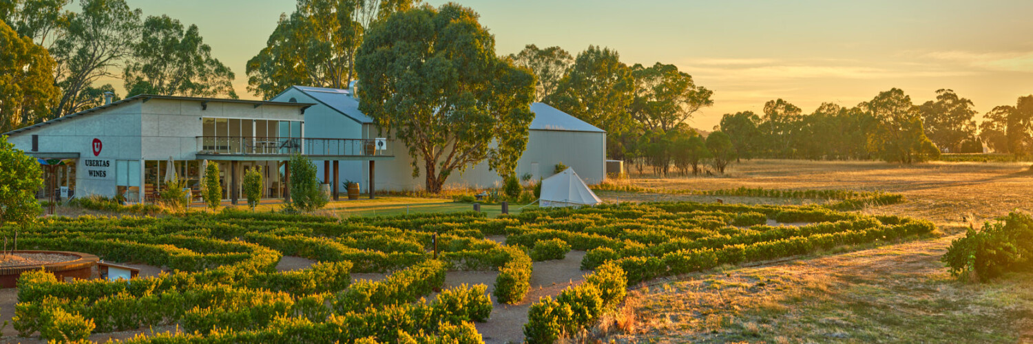 Ubertas Wines - Winery in South Australia | Winetourism.com