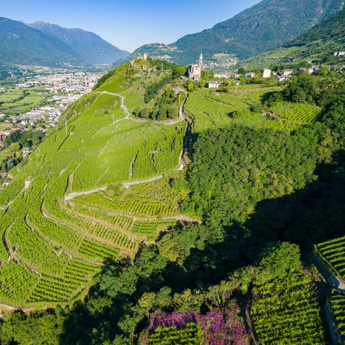 Your 2023 Guide To Lombardy Wine Region Winetourism your-2023-guide-to-lombardy-wine-region-winetourism