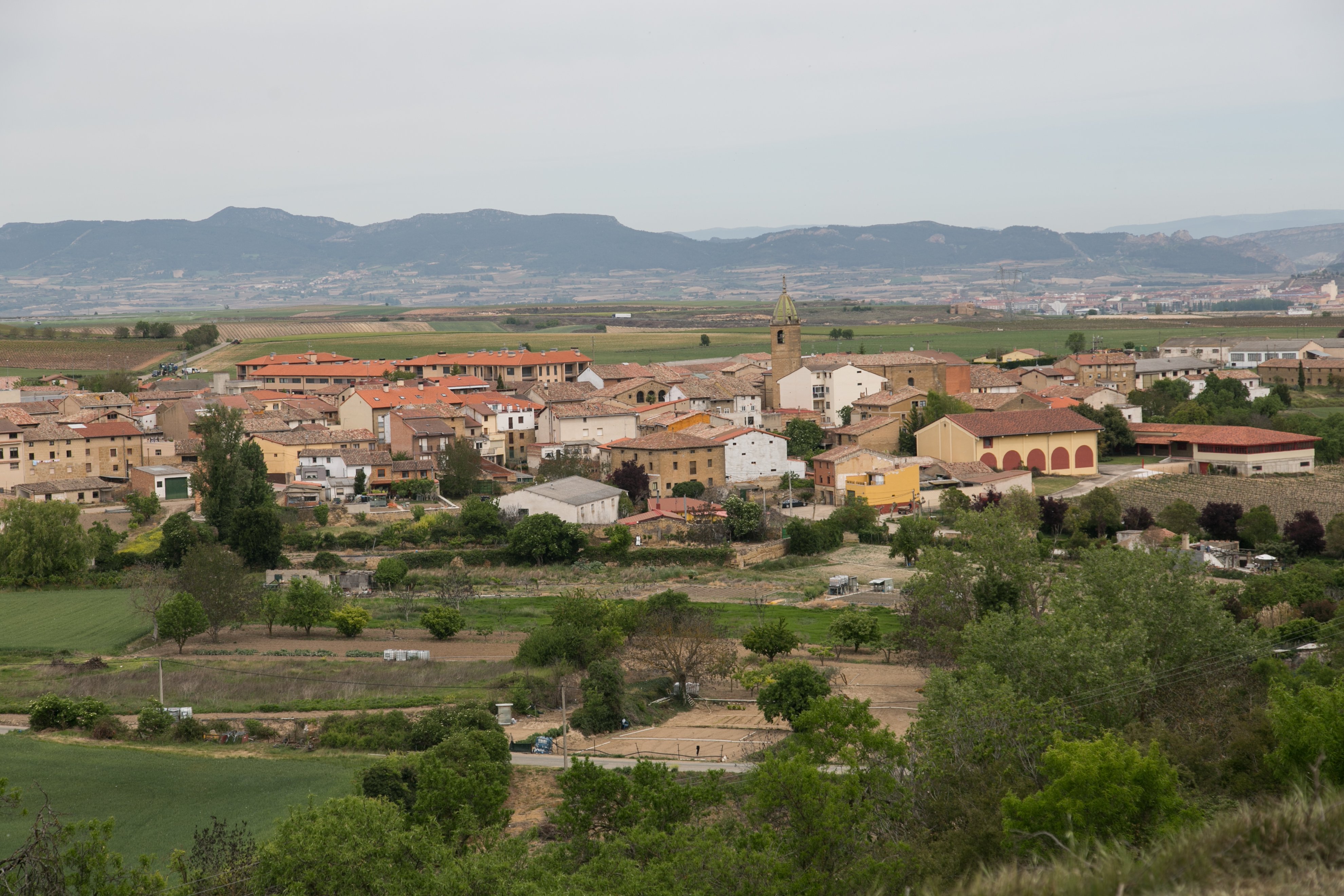 170509Rodezno008