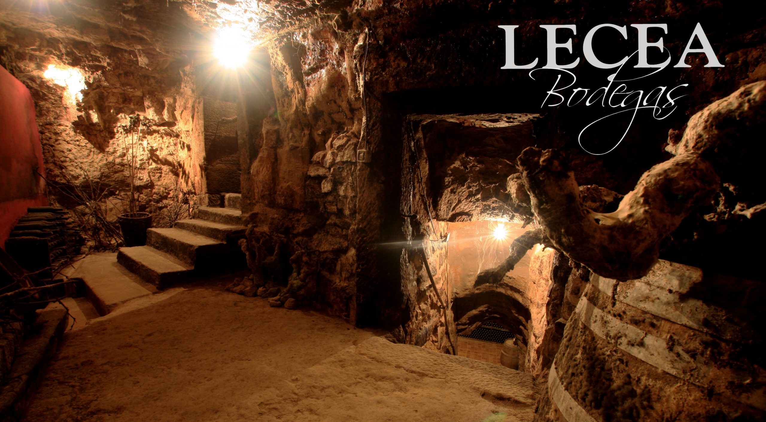 Bodegas Lecea Ride Through Vineyards With Electric Bike Cellar And bodegas-lecea-ride-through-vineyards-with-electric-bike-cellar-and