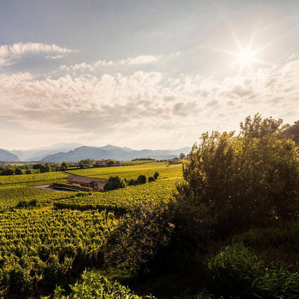 Ronco Calino Winery In Lombardy Winetourism ronco-calino-winery-in-lombardy-winetourism