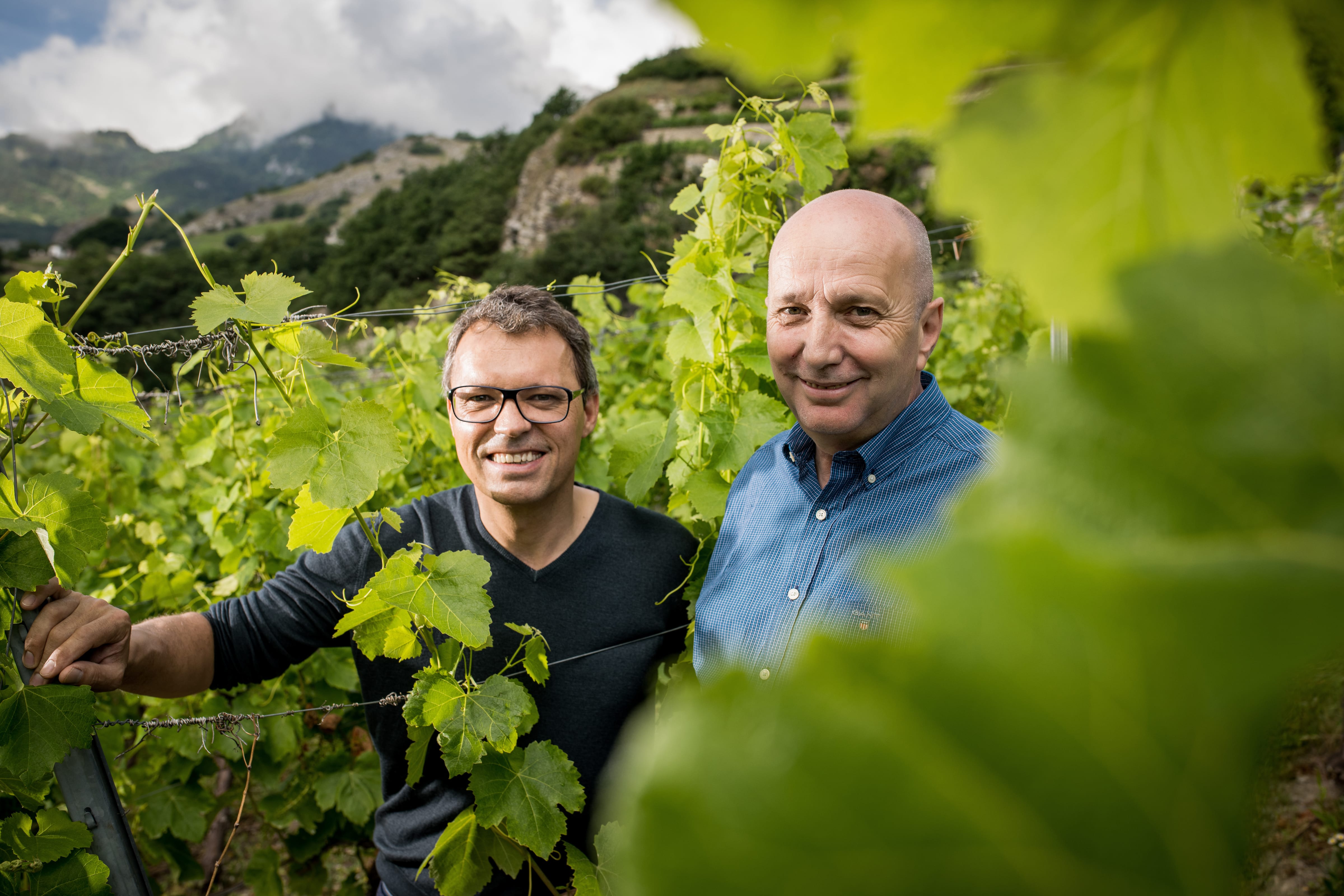 Domaine Jean-René Germanier - Valais | Winetourism.com