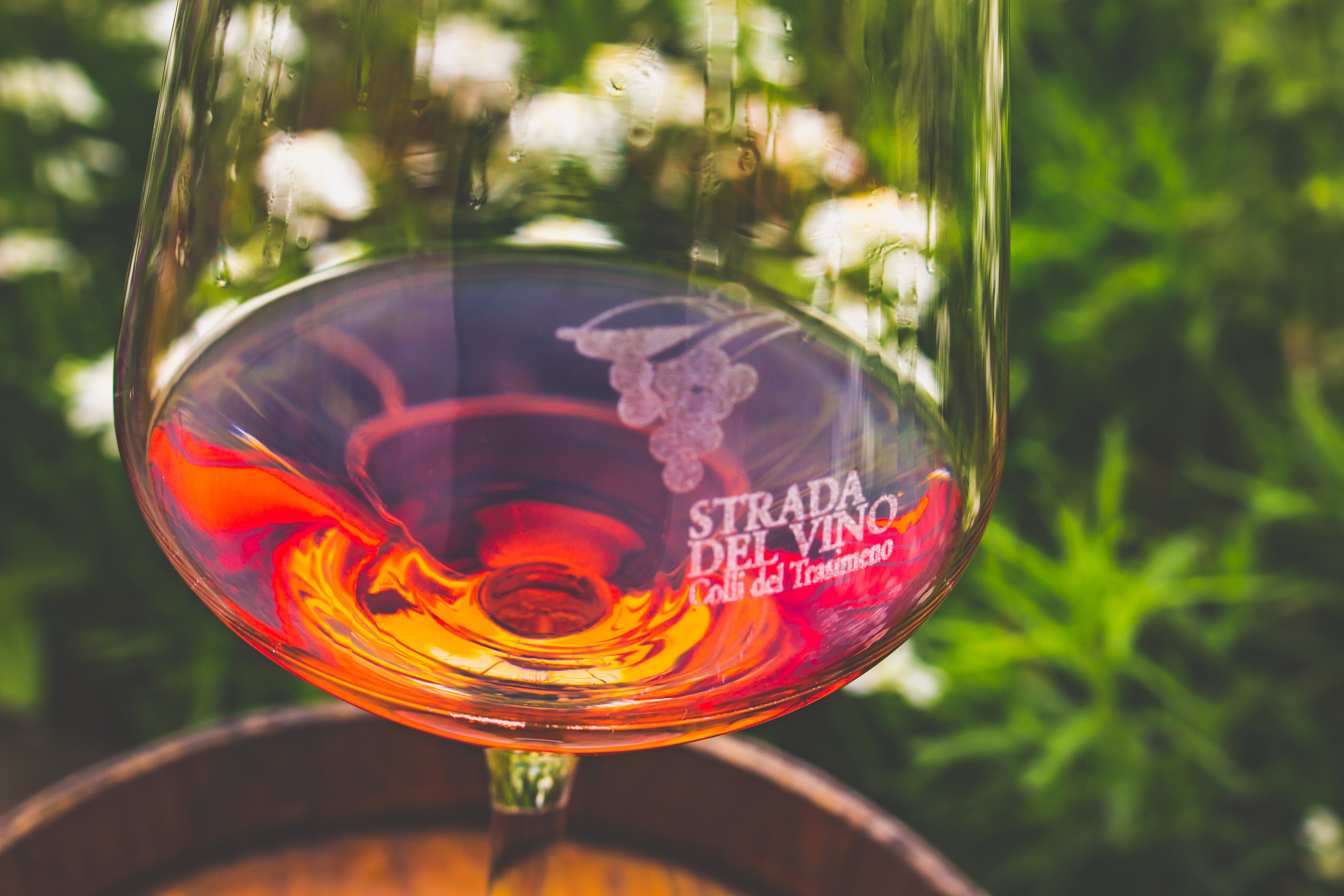 Trasimeno Rose