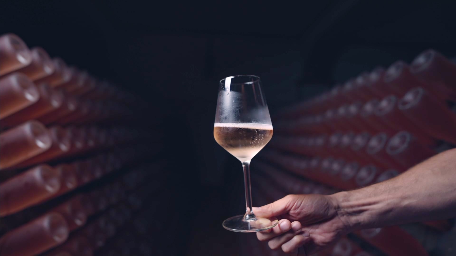 Trasimeno Wine Route White