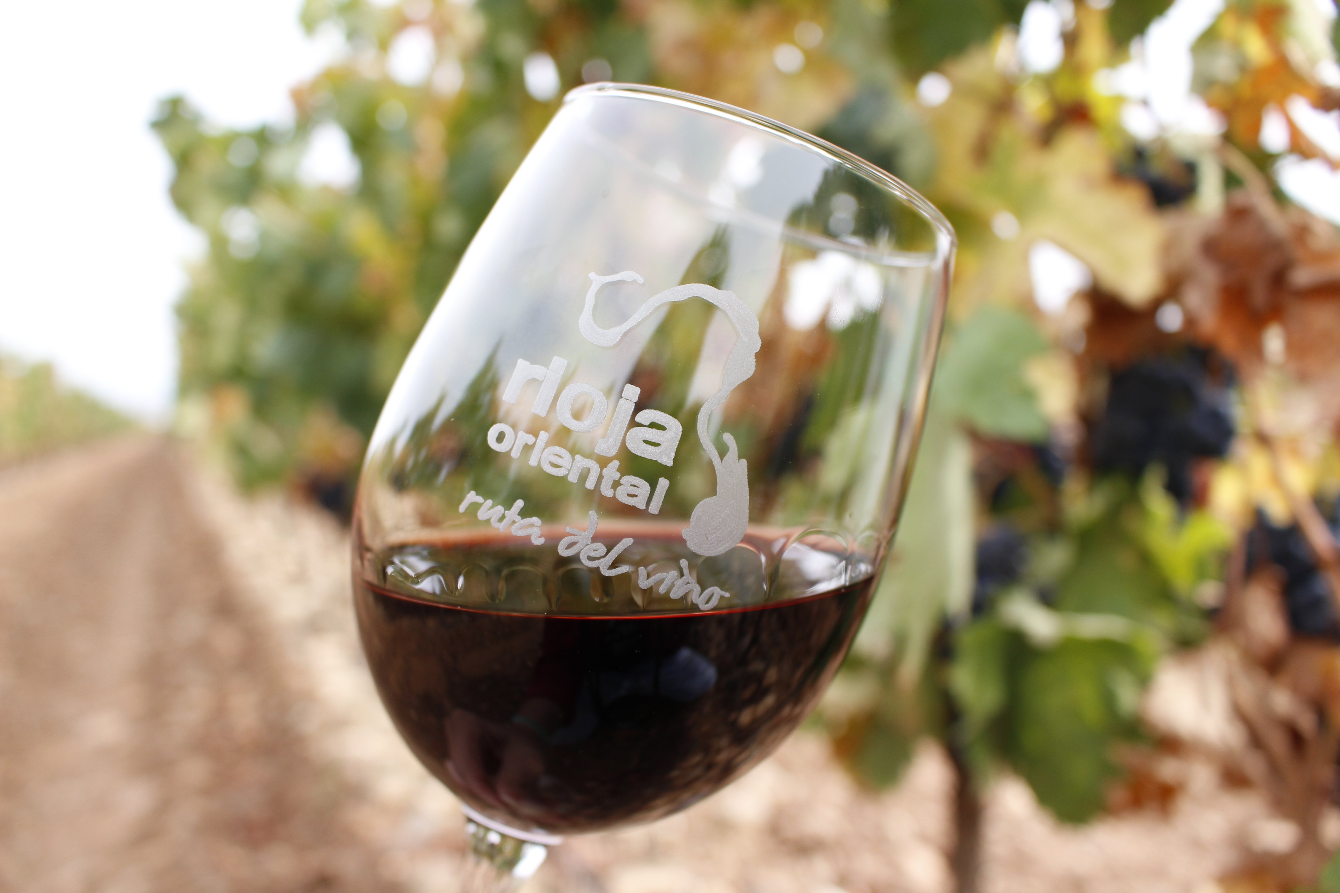 Vino (2)