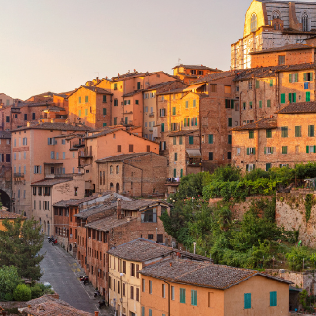 Savor Siena's Finest Wines & Tours 2026 | WineTourism.com