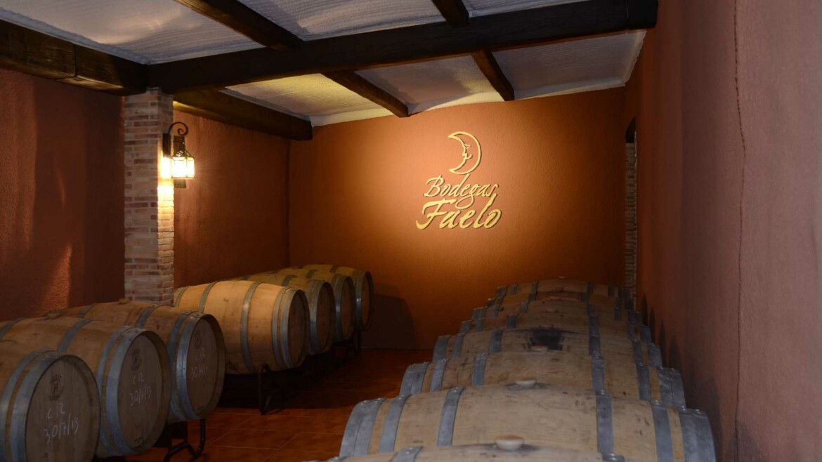 WineTourism’s World Cup of Wines 2023 | Winetourism.com