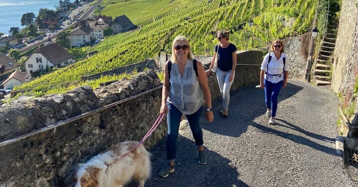 Vine Stories: Lavaux Wine Tasting Walk - Guided Wine Tour in Vaud ...